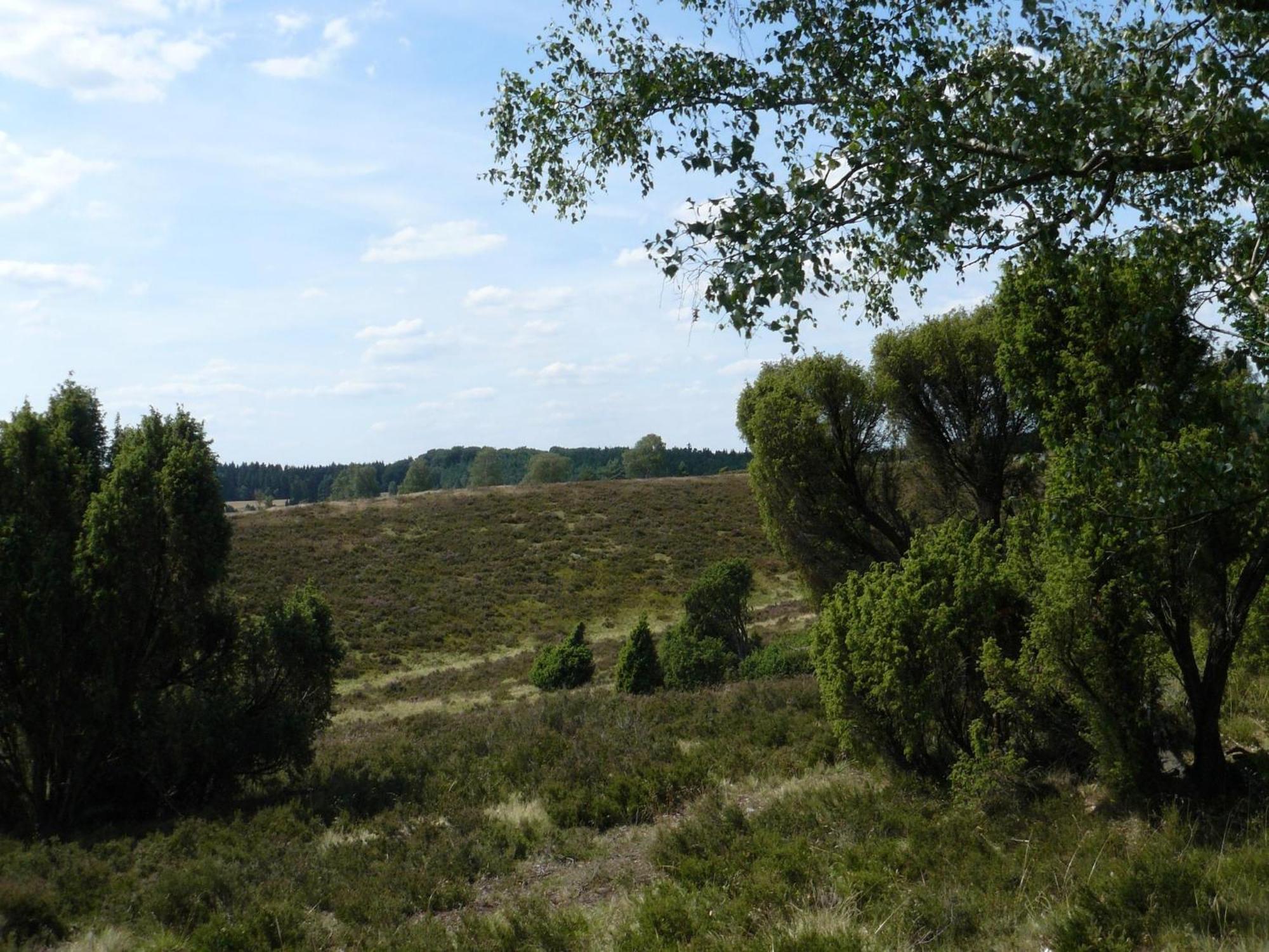 Holiday Home In Wietzendorf In The L Neburg Heath With A View Of The Countryside Exterior photo