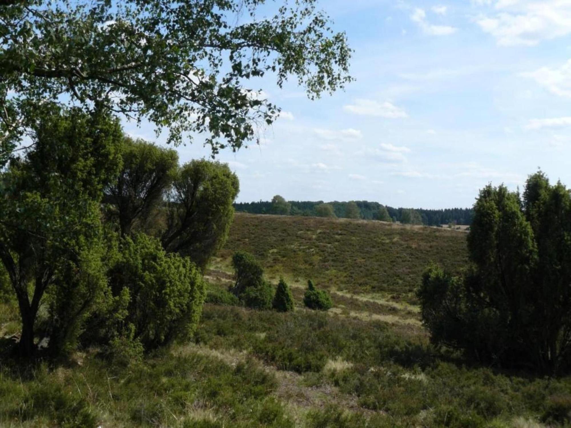 Holiday Home In Wietzendorf In The L Neburg Heath With A View Of The Countryside Exterior photo